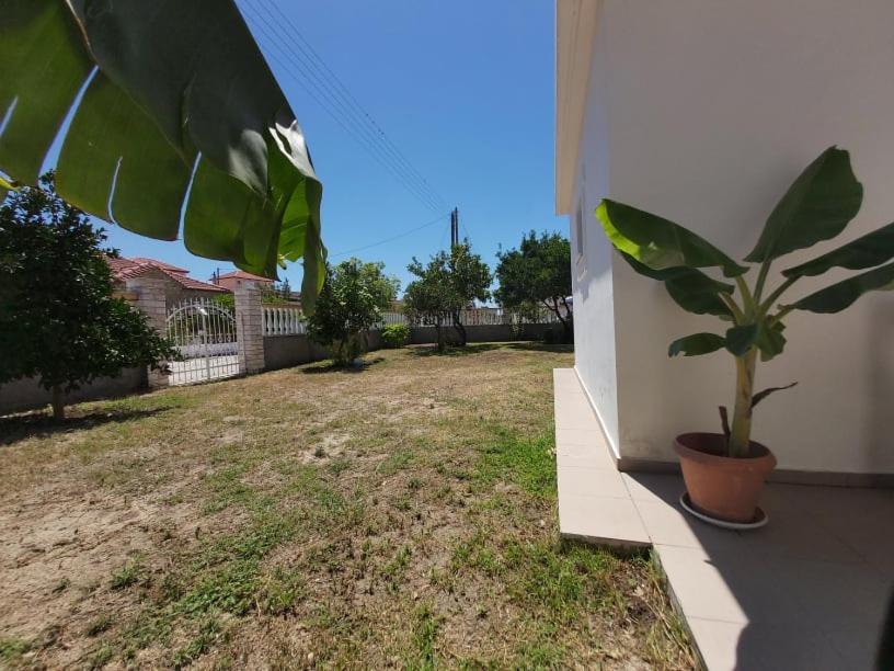 Konstantinos Apartments Ammoudia Exteriör bild
